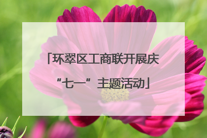 环翠区工商联开展庆“七一”主题活动