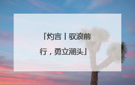 灼言丨驭浪前行，勇立潮头