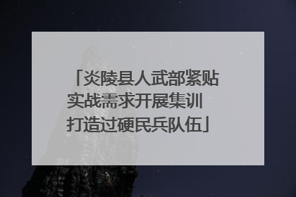 炎陵县人武部紧贴实战需求开展集训 打造过硬民兵队伍