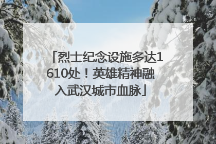 烈士纪念设施多达1610处！英雄精神融入武汉城市血脉