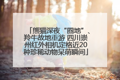 熊猫深夜“圈地”、羚牛故地重游 四川崇州红外相机定格近20种珍稀动物呆萌瞬间