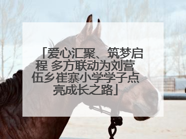 爱心汇聚、筑梦启程 多方联动为刘营伍乡崔寨小学学子点亮成长之路