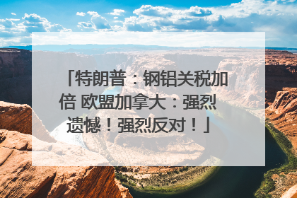 特朗普：钢铝关税加倍 欧盟加拿大：强烈遗憾！强烈反对！