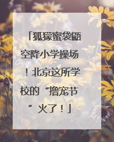 狐獴蜜袋鼯空降小学操场！北京这所学校的“撸宠节”火了！