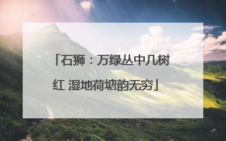 石狮：万绿丛中几树红 湿地荷塘韵无穷