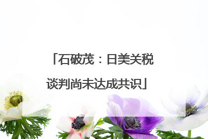 石破茂：日美关税谈判尚未达成共识