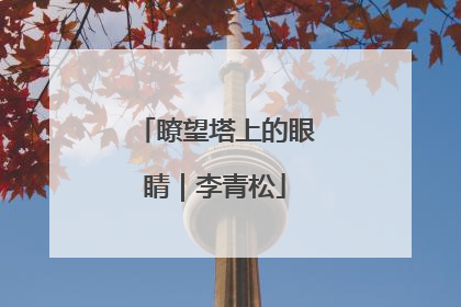 瞭望塔上的眼睛｜李青松