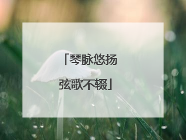 琴脉悠扬 弦歌不辍