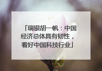 瑞银胡一帆：中国经济总体具有韧性，看好中国科技行业