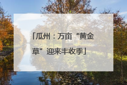 瓜州：万亩“黄金草”迎来丰收季