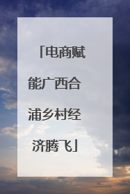 电商赋能广西合浦乡村经济腾飞