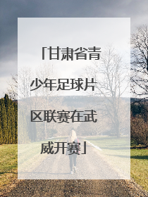 甘肃省青少年足球片区联赛在武威开赛
