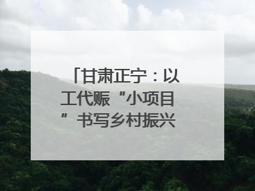 甘肃正宁：以工代赈“小项目”书写乡村振兴“大文章”