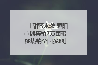 甜蜜来袭 枣阳市熊集镇7万亩蜜桃热销全国多地