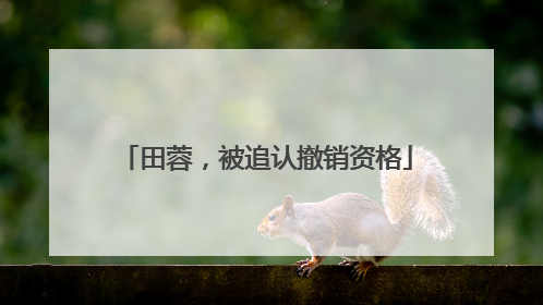 田蓉，被追认撤销资格