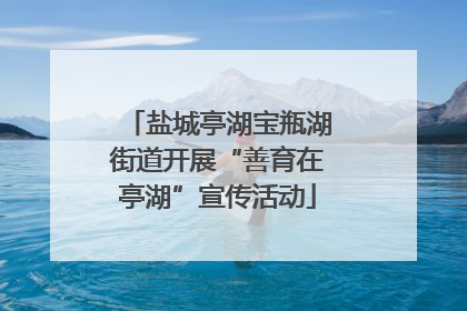 盐城亭湖宝瓶湖街道开展“善育在亭湖”宣传活动