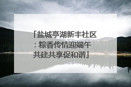 盐城亭湖新丰社区：粽香传情迎端午 共建共享促和谐