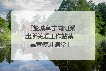 盐城阜宁向阳派出所关爱工作站禁毒宣传进课堂
