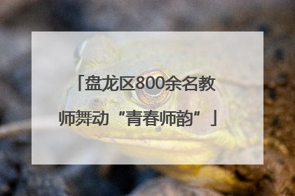 盘龙区800余名教师舞动“青春师韵”