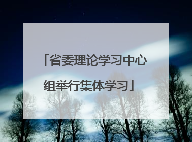 省委理论学习中心组举行集体学习