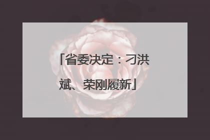 省委决定：刁洪斌、荣刚履新