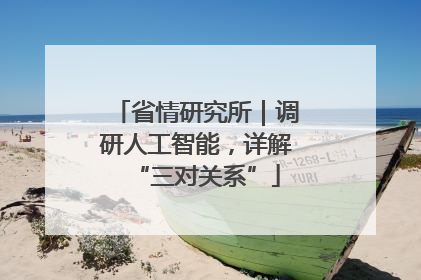 省情研究所｜调研人工智能，详解“三对关系”