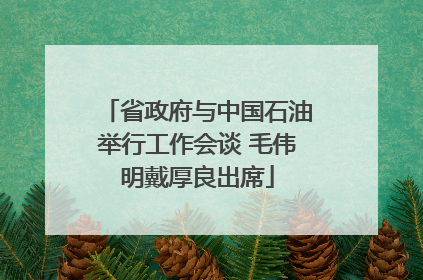 省政府与中国石油举行工作会谈 毛伟明戴厚良出席