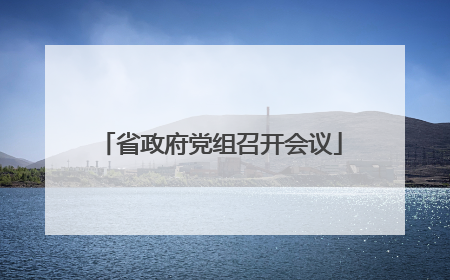 省政府党组召开会议