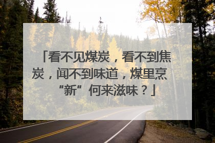 看不见煤炭，看不到焦炭，闻不到味道，煤里烹“新”何来滋味？