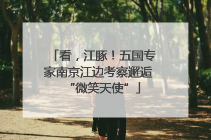 看，江豚！五国专家南京江边考察邂逅“微笑天使”