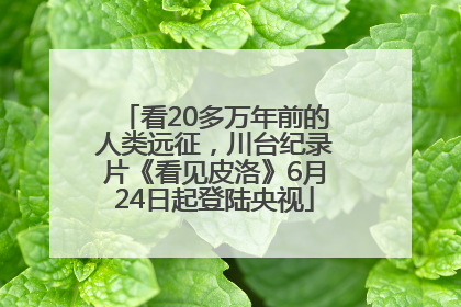 看20多万年前的人类远征，川台纪录片《看见皮洛》6月24日起登陆央视
