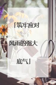 筑牢应对风雨的强大底气