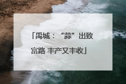 禹城：“蒜”出致富路 丰产又丰收