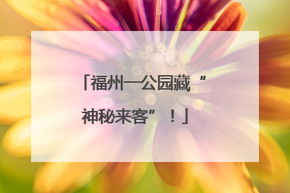 福州一公园藏“神秘来客”！