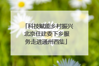 科技赋能乡村振兴 北京住建委下乡服务走进通州西集