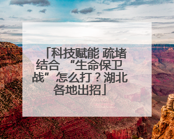 科技赋能 疏堵结合 “生命保卫战”怎么打？湖北各地出招