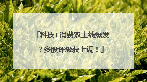 科技+消费双主线爆发？多股评级获上调！
