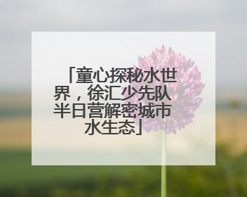 童心探秘水世界，徐汇少先队半日营解密城市水生态