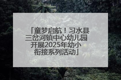 童梦启航！习水县三岔河镇中心幼儿园开展2025年幼小衔接系列活动