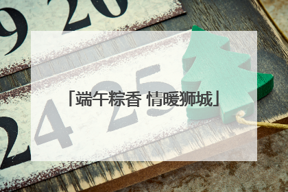 端午粽香 情暖狮城