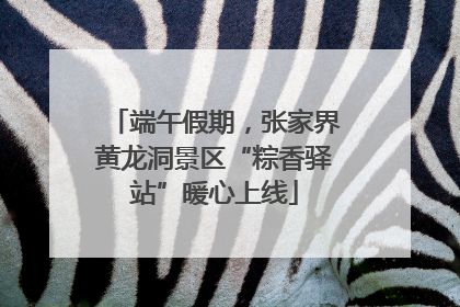 端午假期，张家界黄龙洞景区“粽香驿站”暖心上线