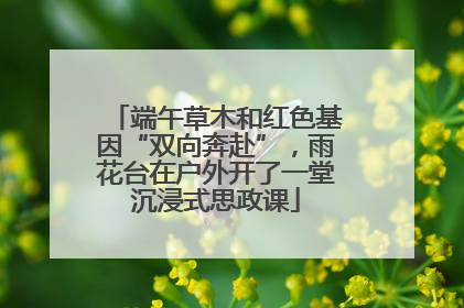 端午草木和红色基因“双向奔赴”，雨花台在户外开了一堂沉浸式思政课