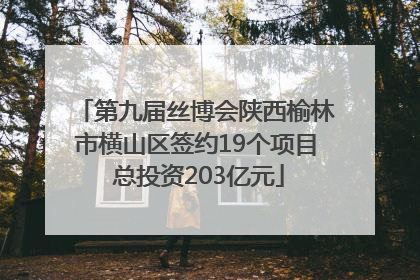 第九届丝博会陕西榆林市横山区签约19个项目 总投资203亿元