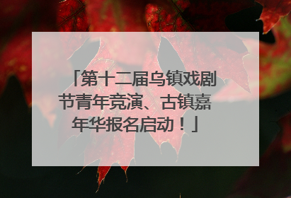 第十二届乌镇戏剧节青年竞演、古镇嘉年华报名启动！