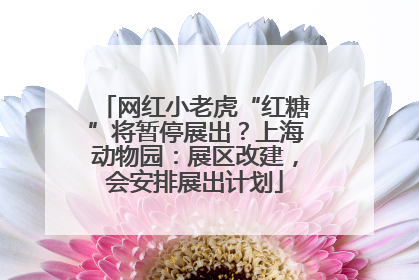 网红小老虎“红糖”将暂停展出？上海动物园：展区改建，会安排展出计划