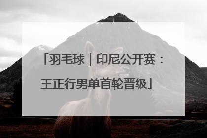 羽毛球｜印尼公开赛：王正行男单首轮晋级