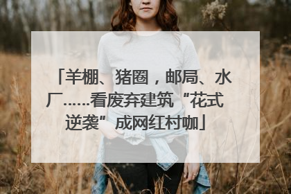羊棚、猪圈，邮局、水厂……看废弃建筑“花式逆袭”成网红村咖