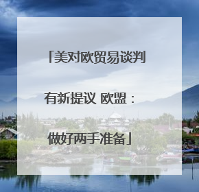 美对欧贸易谈判有新提议 欧盟：做好两手准备
