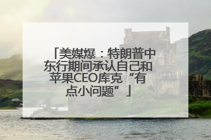 美媒爆：特朗普中东行期间承认自己和苹果CEO库克“有点小问题”