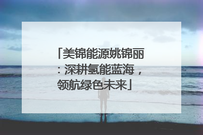 美锦能源姚锦丽：深耕氢能蓝海，领航绿色未来